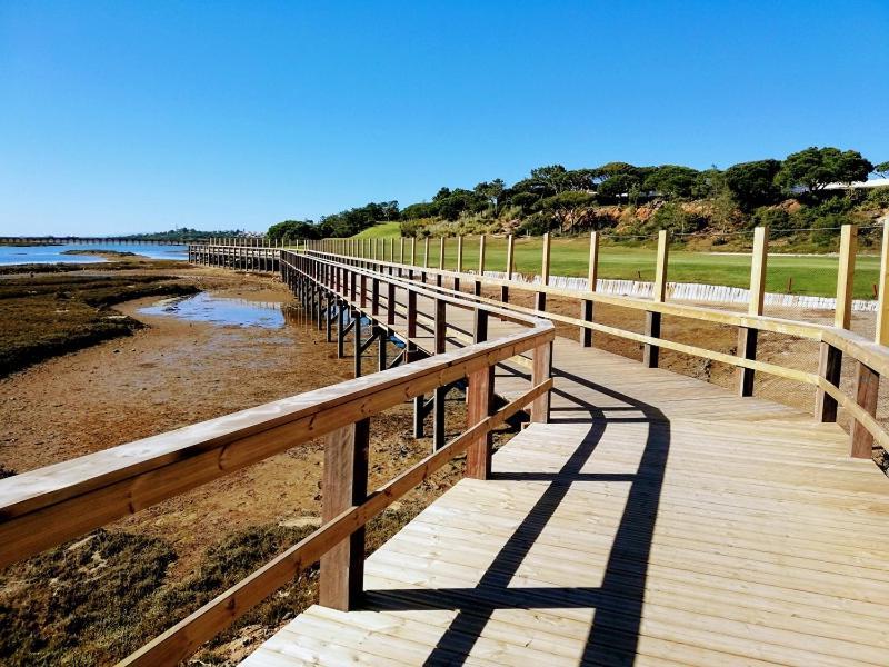 Seaside Sunflower Quinta do Lago