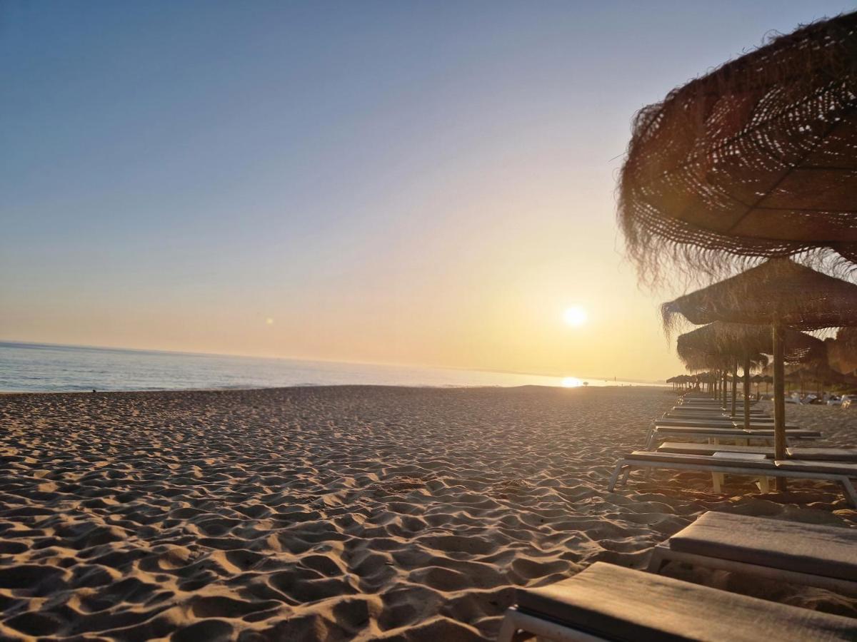 Seaside Sunflower Quinta do Lago