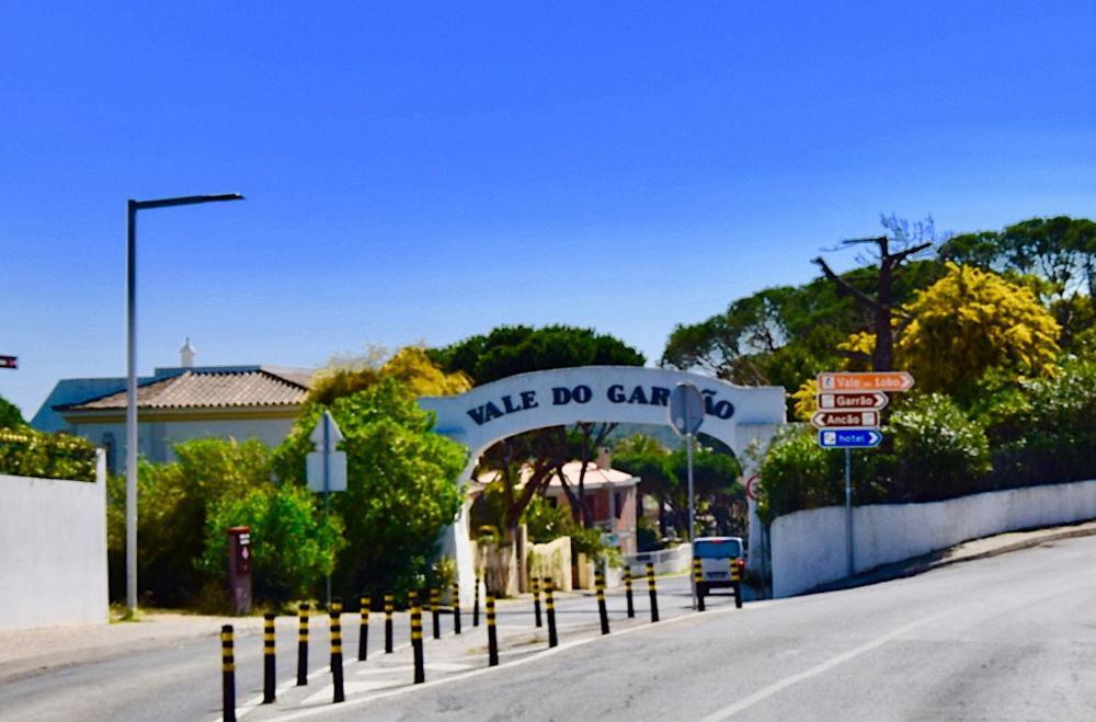 Seaside Sunflower Quinta do Lago